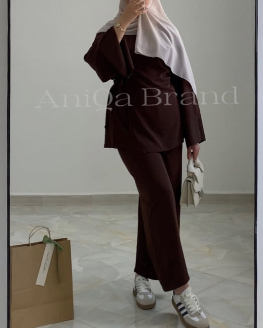 Ensemble AniQa